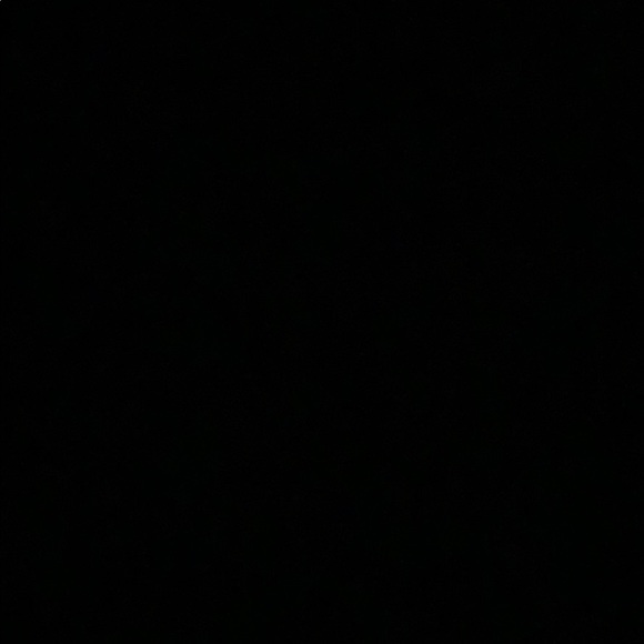 Meet your Posher, Bella - Picture 1 of 1